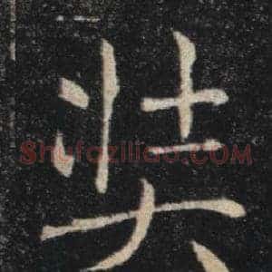 奘