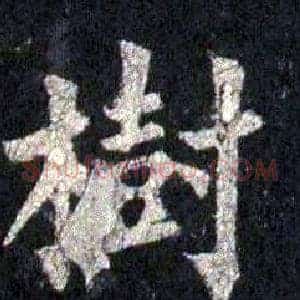 樹