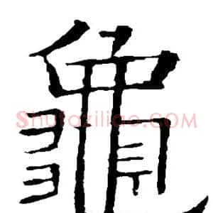 龟