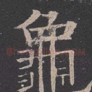 龜