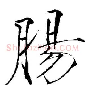 肠