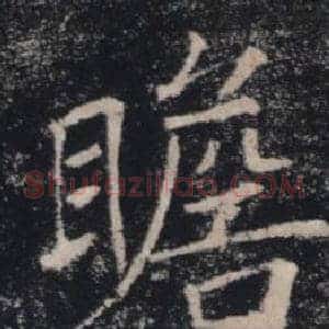 瞻
