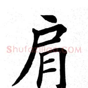 肩