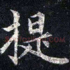 提