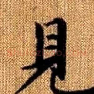 見