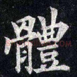 體