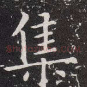 集