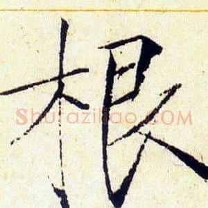 根
