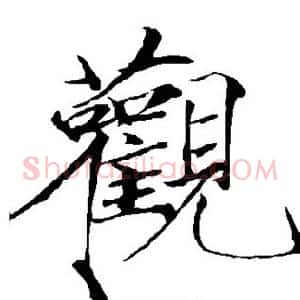 观