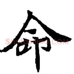命