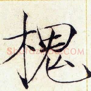 槐