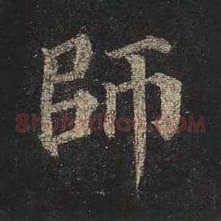 师