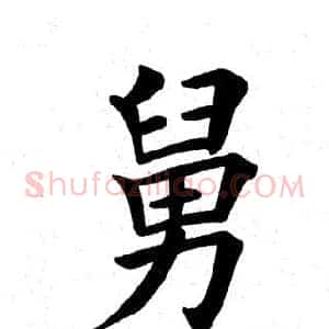 舅