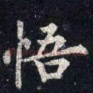悟