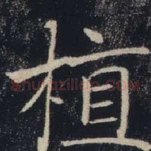 植