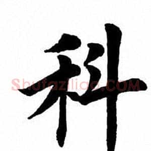 科