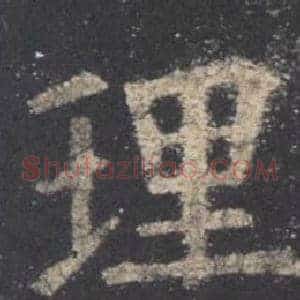 理
