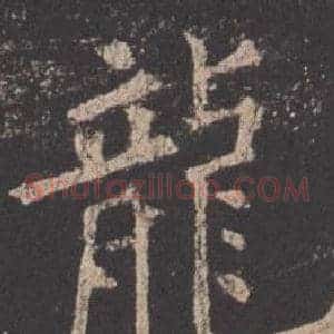龍