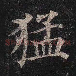 猛