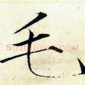 毛