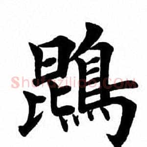 鹍