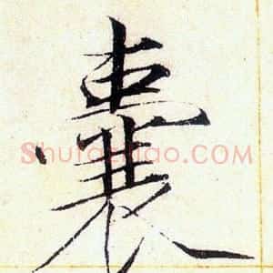 囊