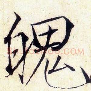 魄