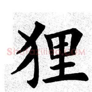 狸