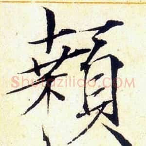 顙