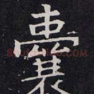 囊