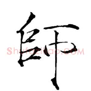 师