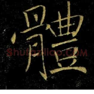 體