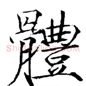 体
