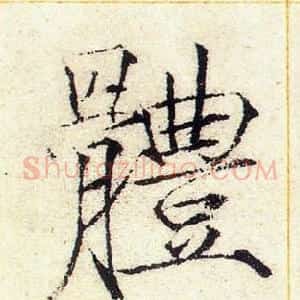 體
