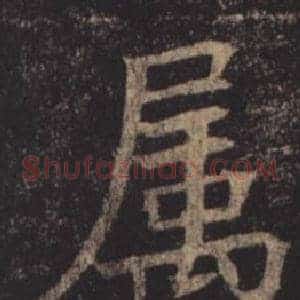 屬