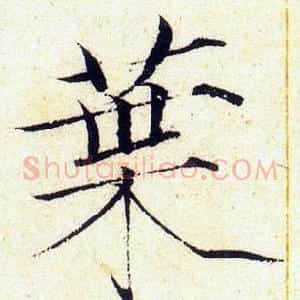葉