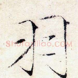 羽