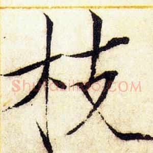 枝