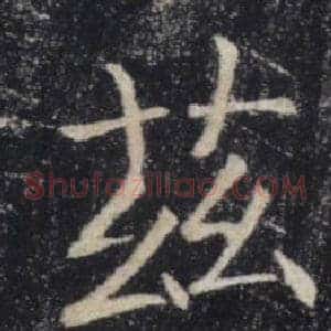 茲