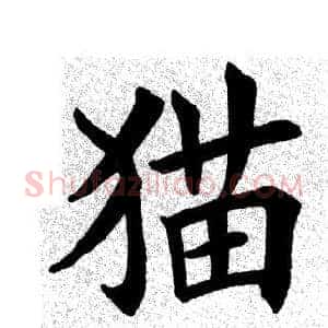 猫