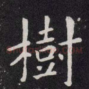 樹