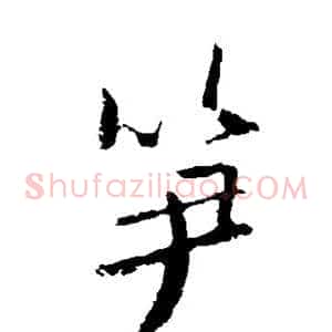 笋
