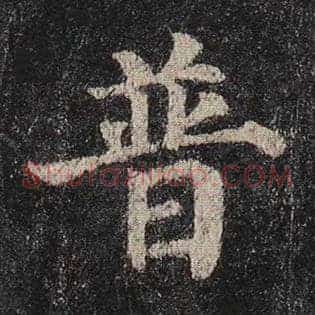 普