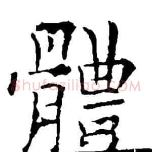 体