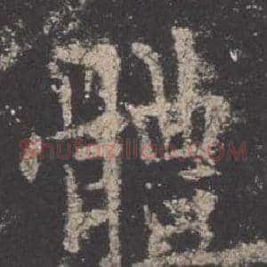 體