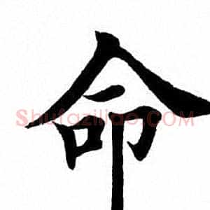 命