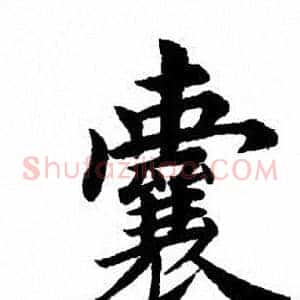 囊