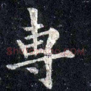 專