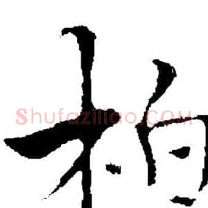 柏
