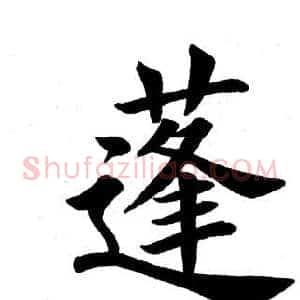 蓬